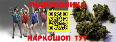 a pvp Камышлов
