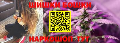 a pvp Камышлов