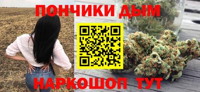 a pvp Камышлов