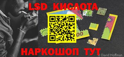 a pvp Камышлов