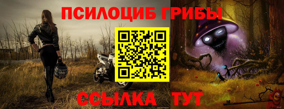 Псилоцибиновые грибы MAGIC MUSHROOMS  Вход с VPN  Ленинск-Кузнецкий 